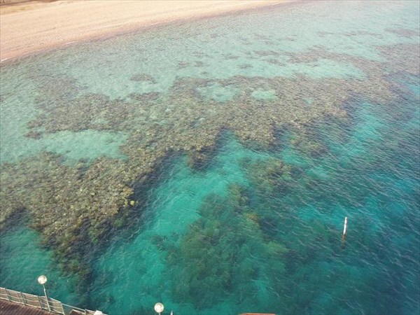117-Вид кораллового рифа сверху